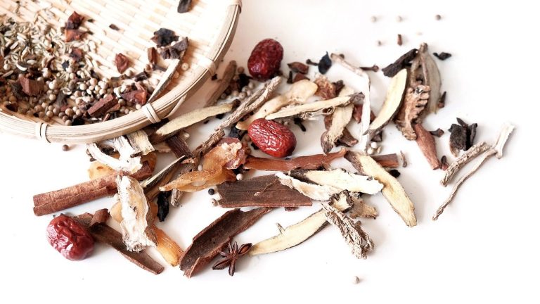 Dried Traditional Chinese Medicine herbs and roots